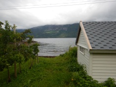 Yep the cabin sat right on the fjord. Great view to wake up to!